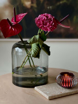 Mia - Rose